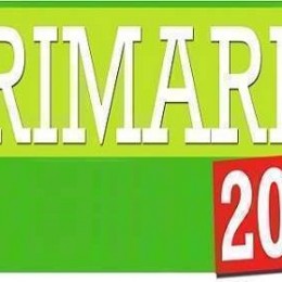 Uno sguardo ai Programmi dei Candidati alle Primarie del PD: Università e Ricerca