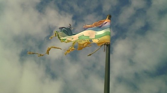 bandieralogora