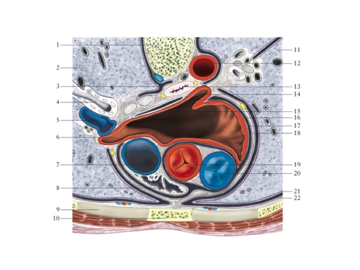 Parametri fisici e produttività scientifica