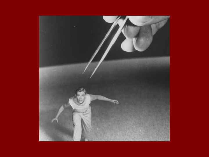 La miniriforma dell’Anvur