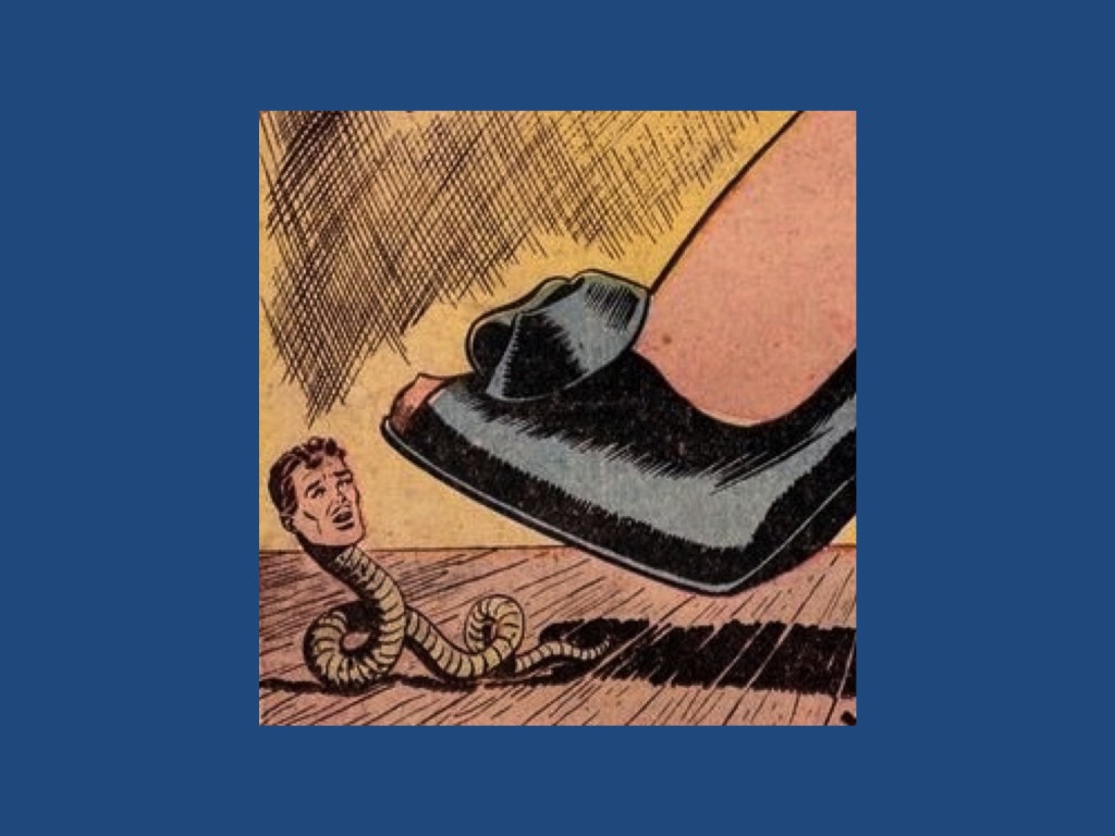 Worm_cover