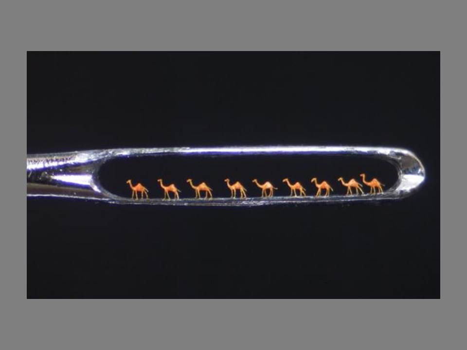 Il cammello e la cruna dell’ago (due anni dopo)