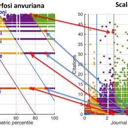 Anamorfosi_Anvuriana