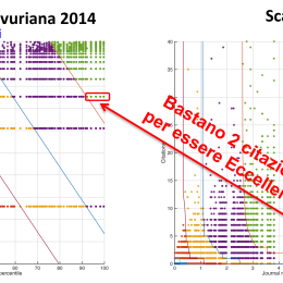 Anamorfosi_anvuriana_2014