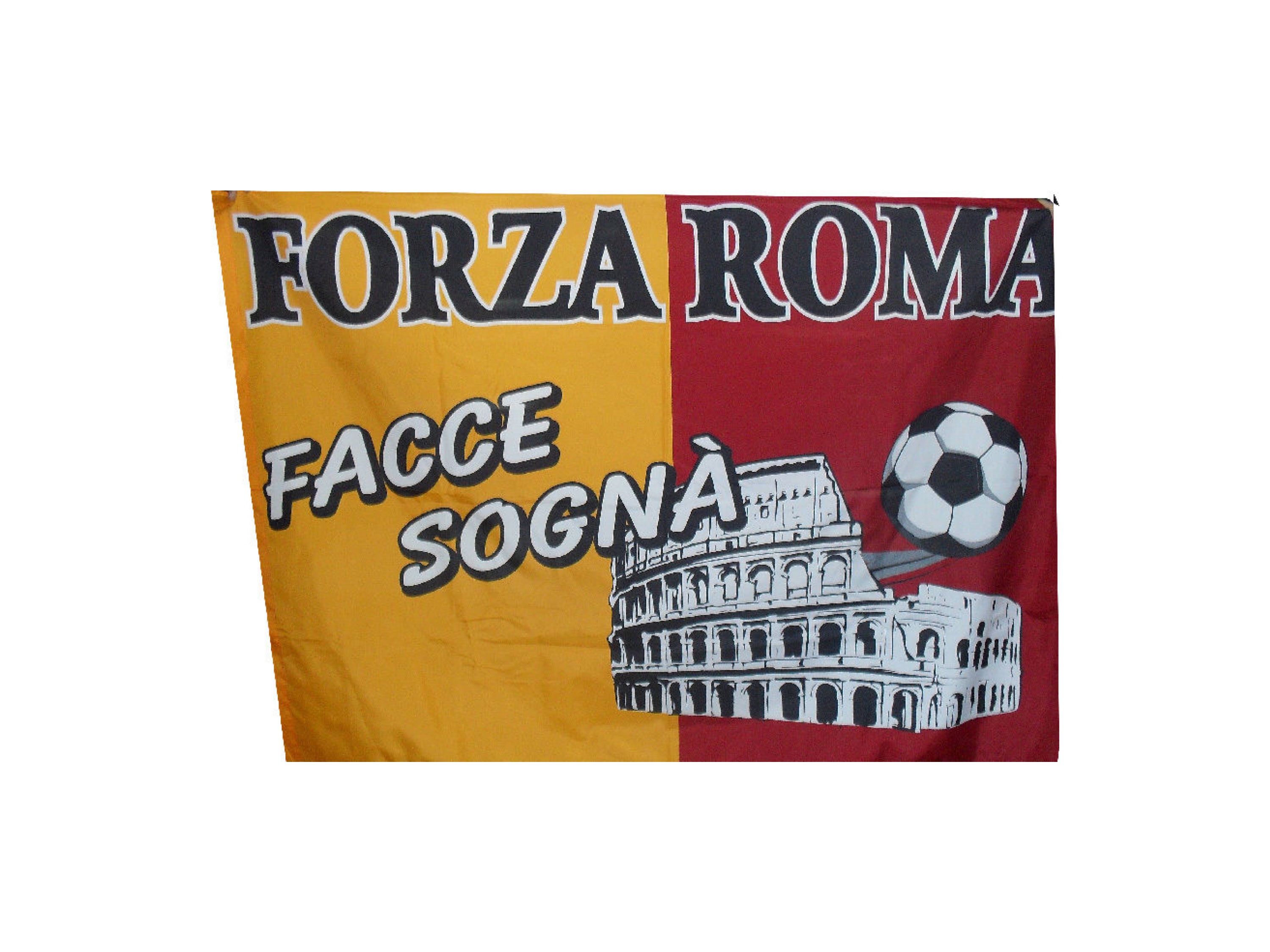 VQR polls. «Roma Sapienza facce sogna’»: astensione sopra 23% (schede mai aperte 16.4%)