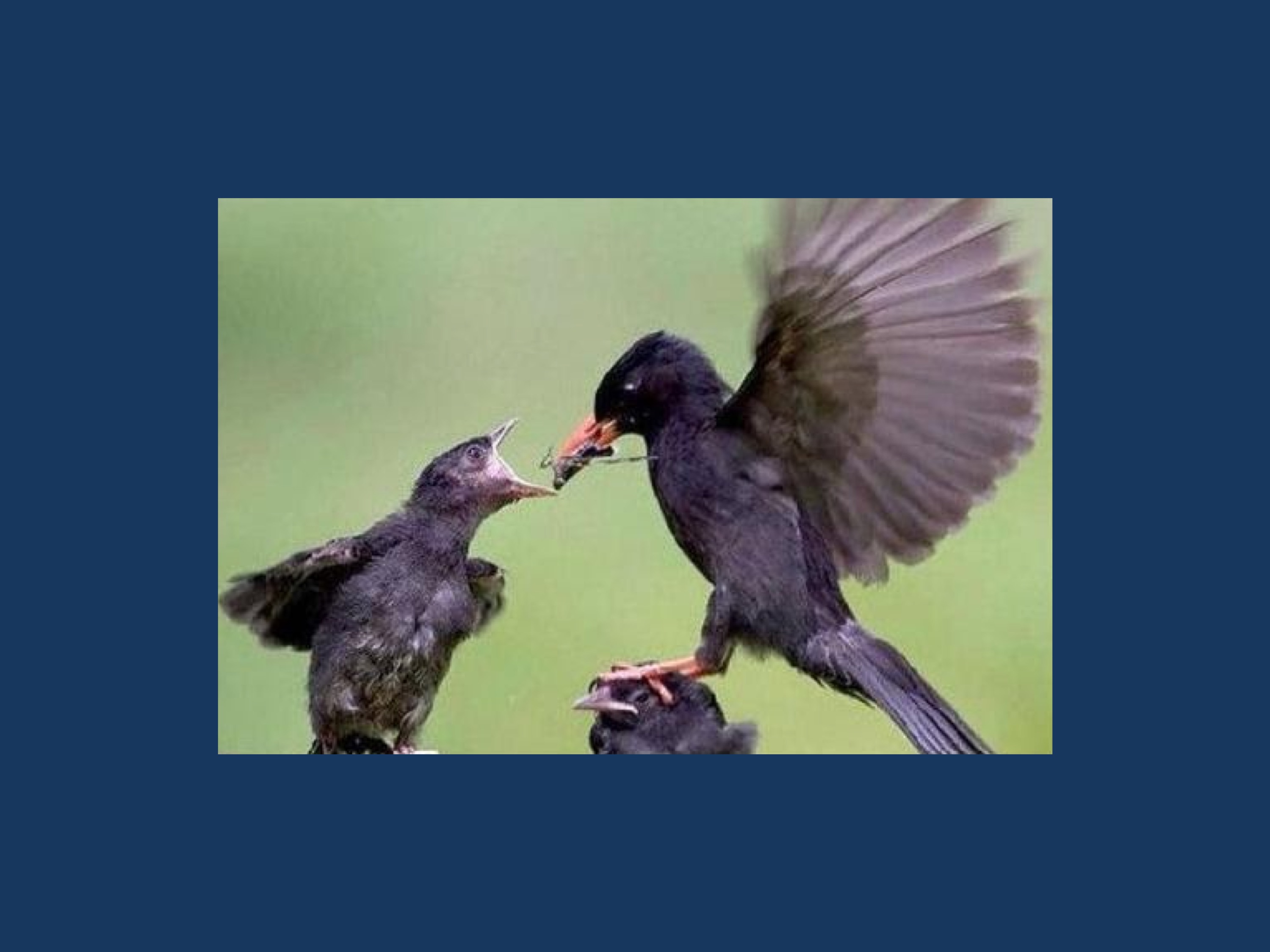 Accesso ai posti da Ricercatore a tempo determinato: qualche curiosa novità