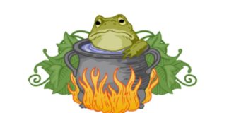 Rane bollite e regine rosse: perché le università sono sempre più gerarchiche e burocratizzate?