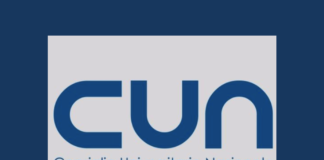 Raccomandazione CUN sui professori straordinari a tempo determinato