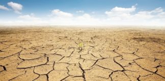 Cultura 2030: le desertificazioni in atto nel 2018