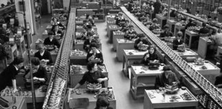 Una scienza senza qualità