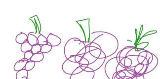 Scuola: perché i Paesi Bassi dovrebbero essere il modello?