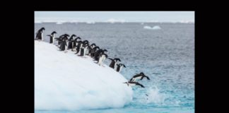 Ricercatori a tempo indeterminato e RTDb: come procede la coabi(li)tazione