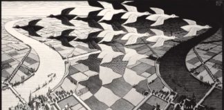 Competenze senza dogmi. Una replica a Giovanni Carosotti