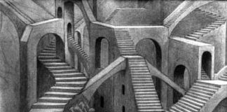 Delega per la semplificazione in materia di scuola e università