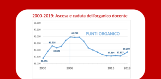 Università: l’evoluzione 2000-2019 dell’organico docente. L’analisi del CNU