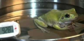 Cuocere a bassa temperatura. La Scuola dalla Costituzione alla tecnocrazia INVALSI