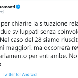 fioramonti 1