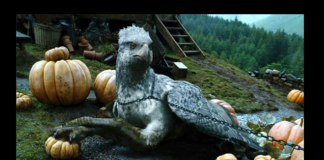 L’esperienza umana dell’insegnamento e gli illusori voli degli ippogrifi telematici