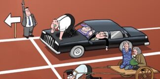 I criteri dei punti organico: una discussione difficile ma indispensabile