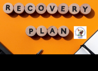 Recovery plan: commenti e proposte per scuola, università e ricerca