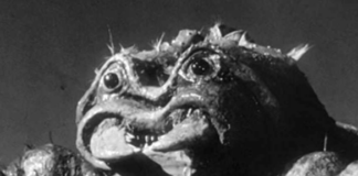 A proposito di valutazione della ricerca: lo strano caso dello Scorpione Nero