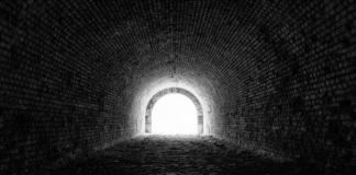 Torniamo alla vera funzione della scuola