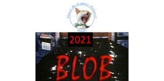 Di tutto di più: ecco il Blob Roars del 2021