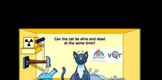 I dipartimenti di eccellenza ed il gatto di Schrödinger