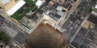 Integrità scientifica e articoli falsi