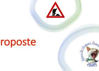 Proposte Roars per il rilancio di un sistema universitario pubblico e nazionale