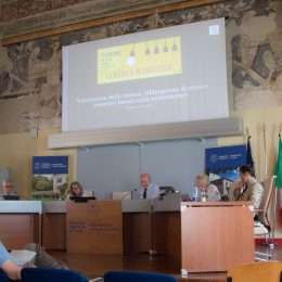 simonato_2