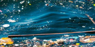 “Un oceano di conoscenza in cui galleggia una quantità allarmante di spazzatura”: come ci siamo arrivati?