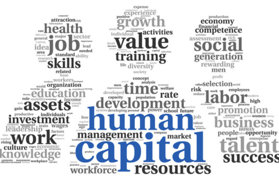 Human capital concept in tag cloud