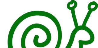 Manifesto per una Slow Science