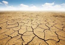 La desertificazione tecnologica europea