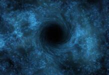 La scuola che divora se stessa