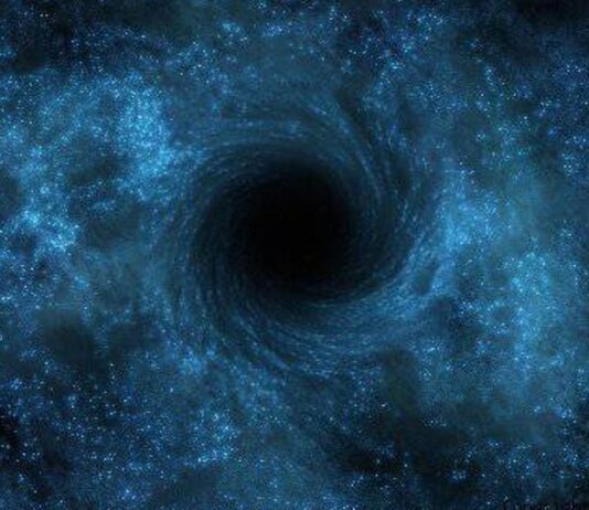 La scuola che divora se stessa